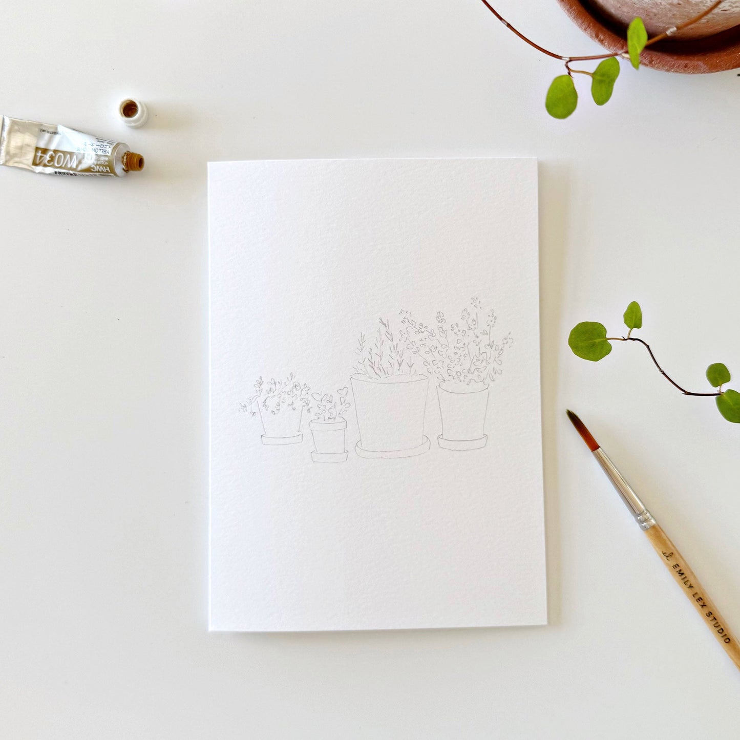 potted plants paintable notecards