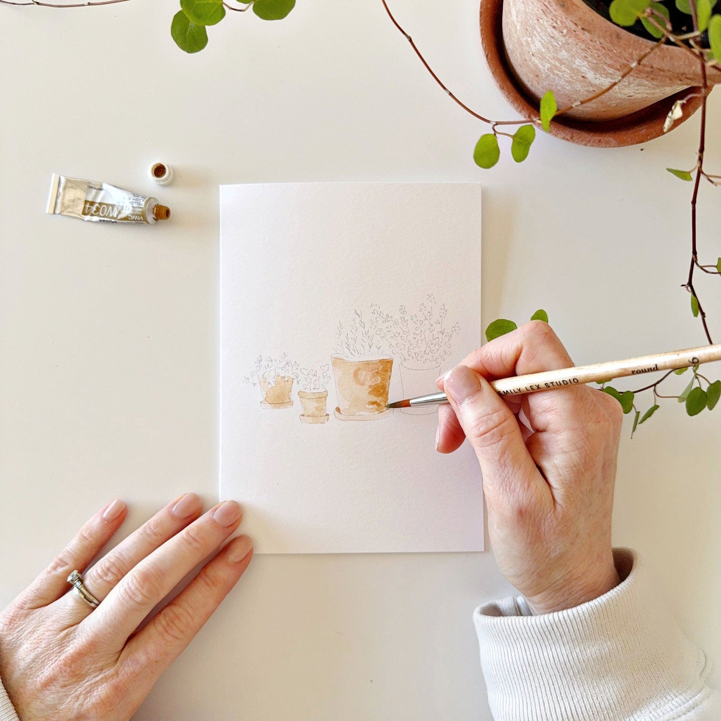 potted plants paintable notecards