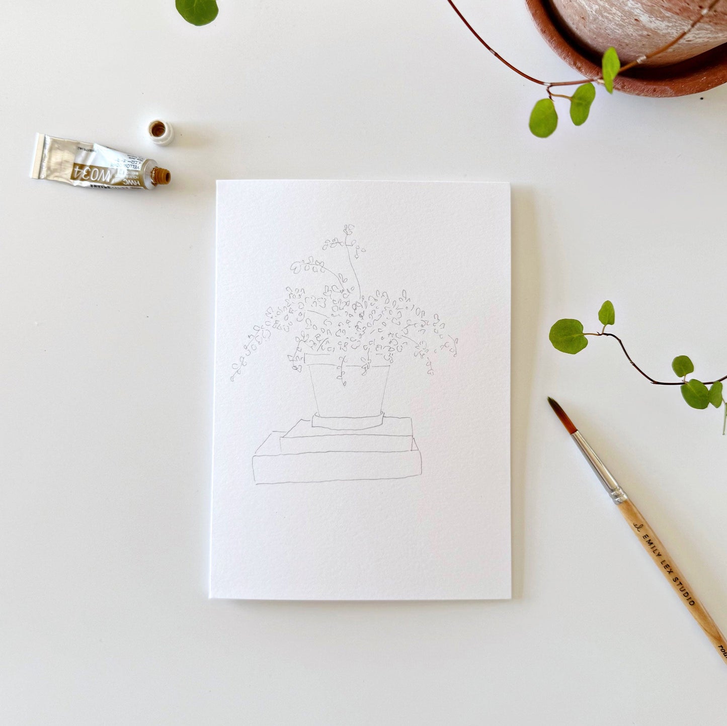 potted plants paintable notecards