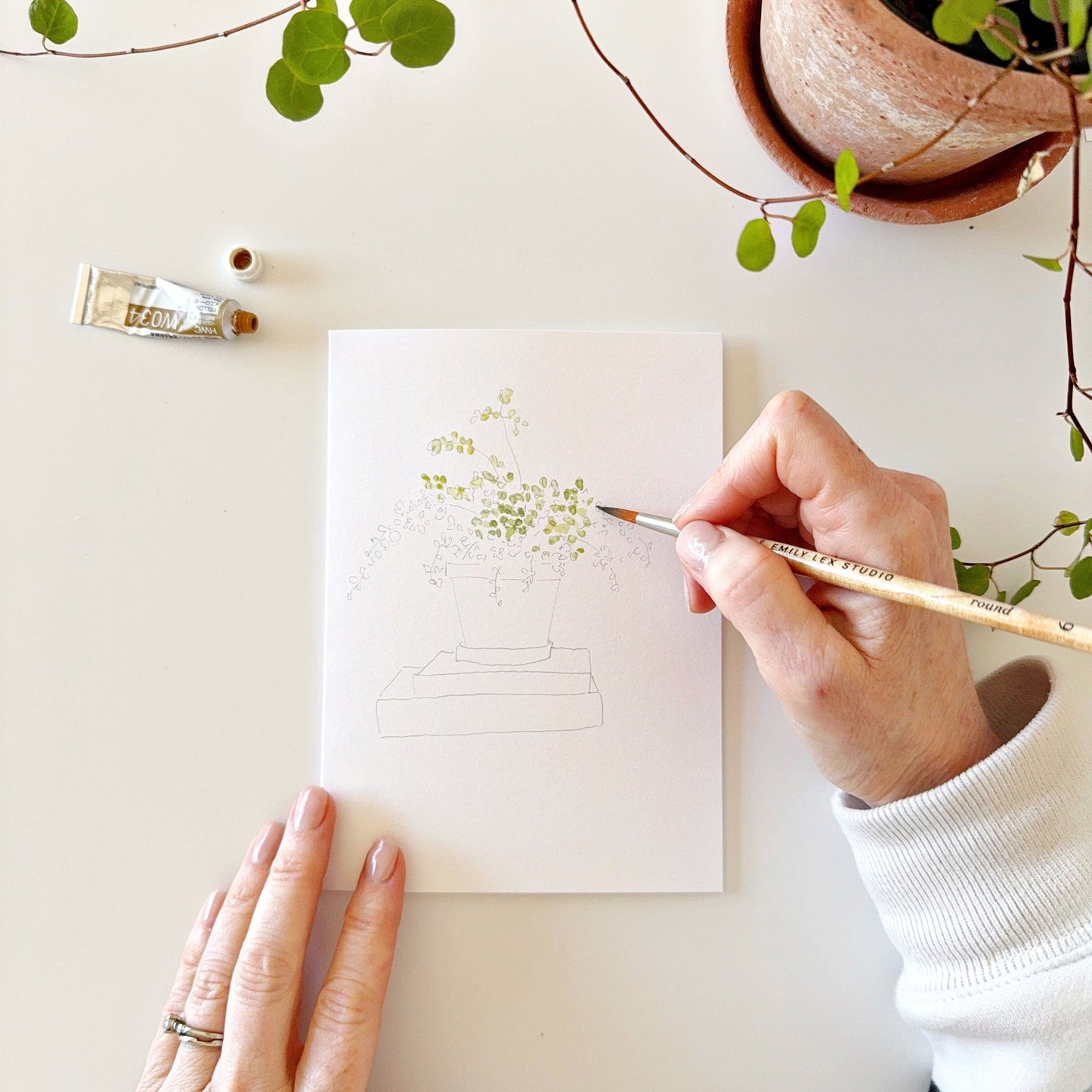 potted plants paintable notecards