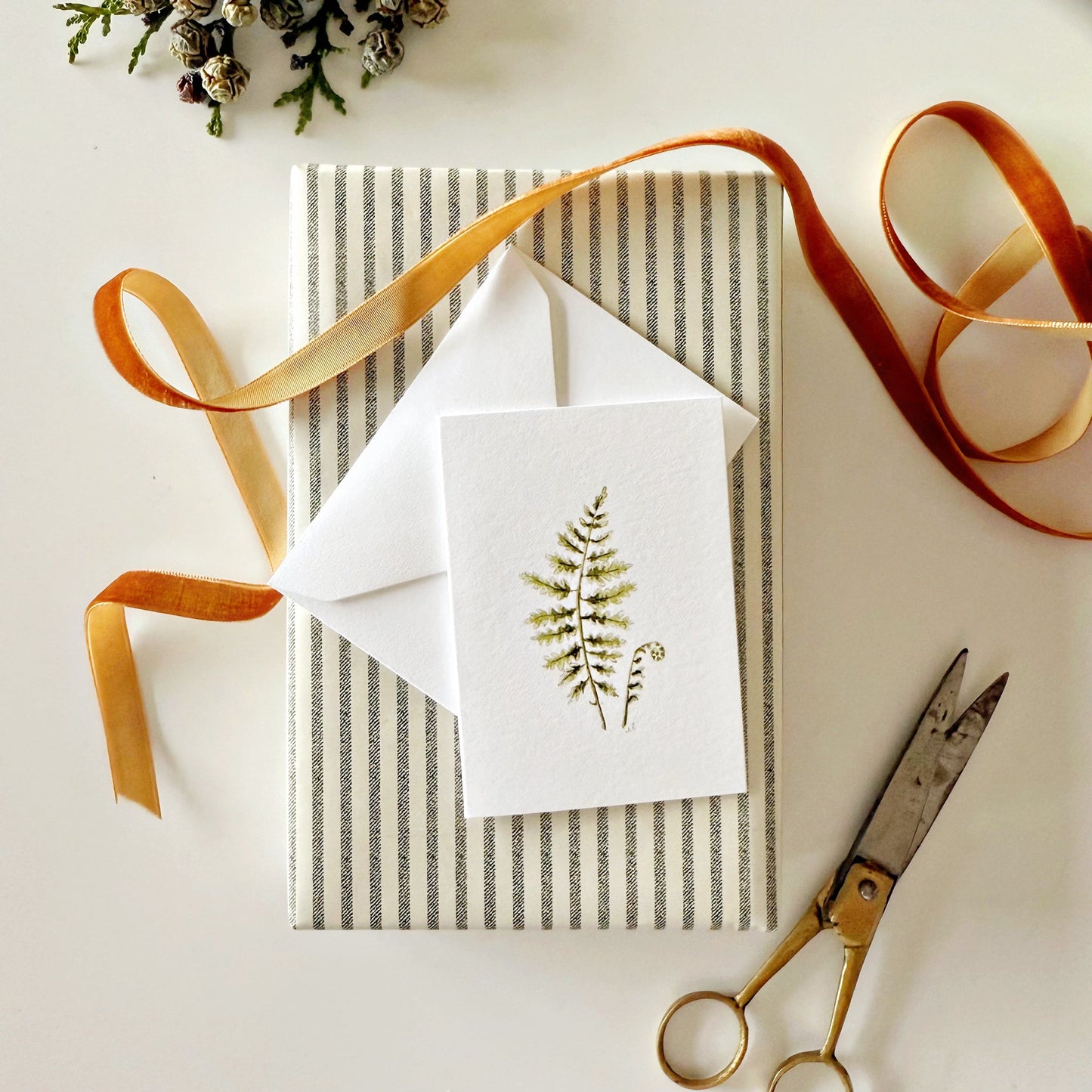 fern mini notecard
