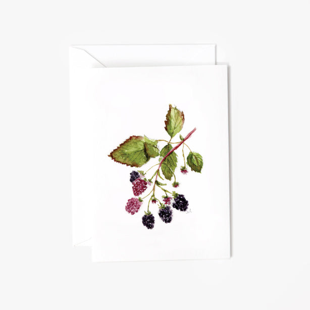 blackberry mini notecard