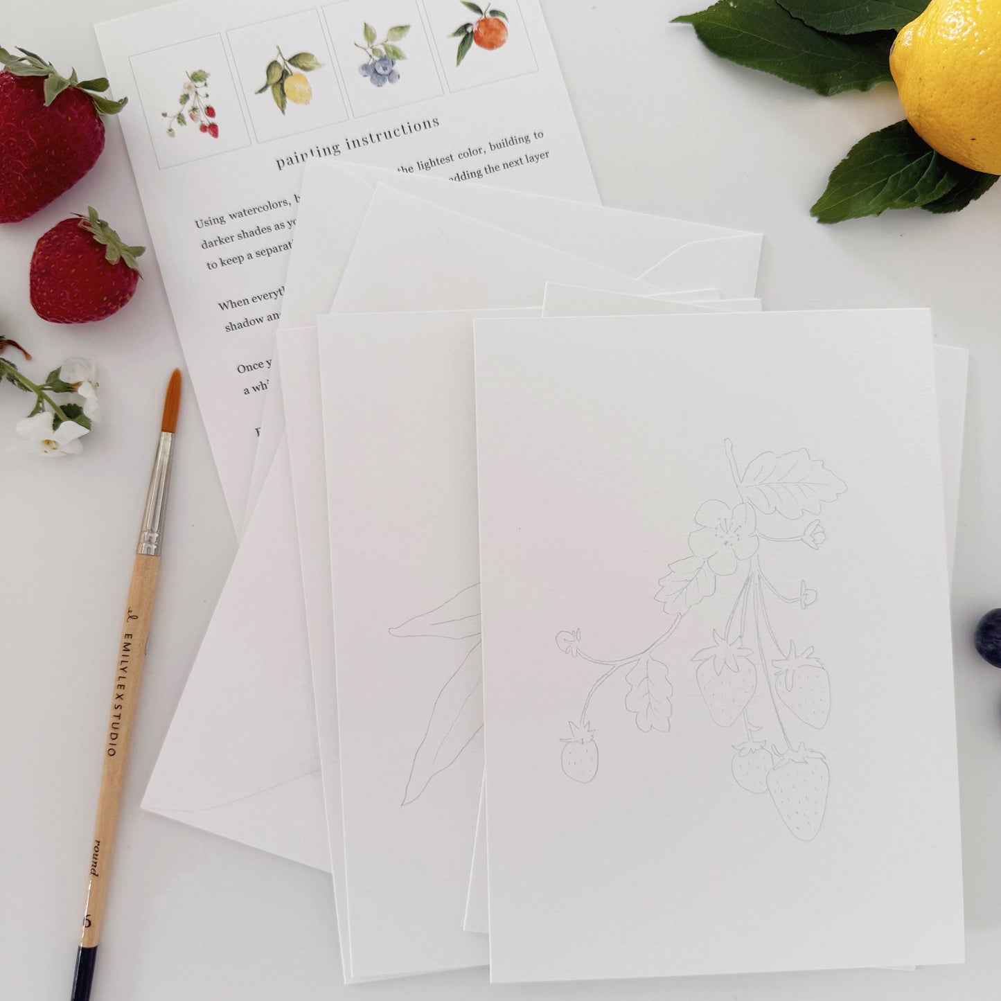 fruit paintable notecards