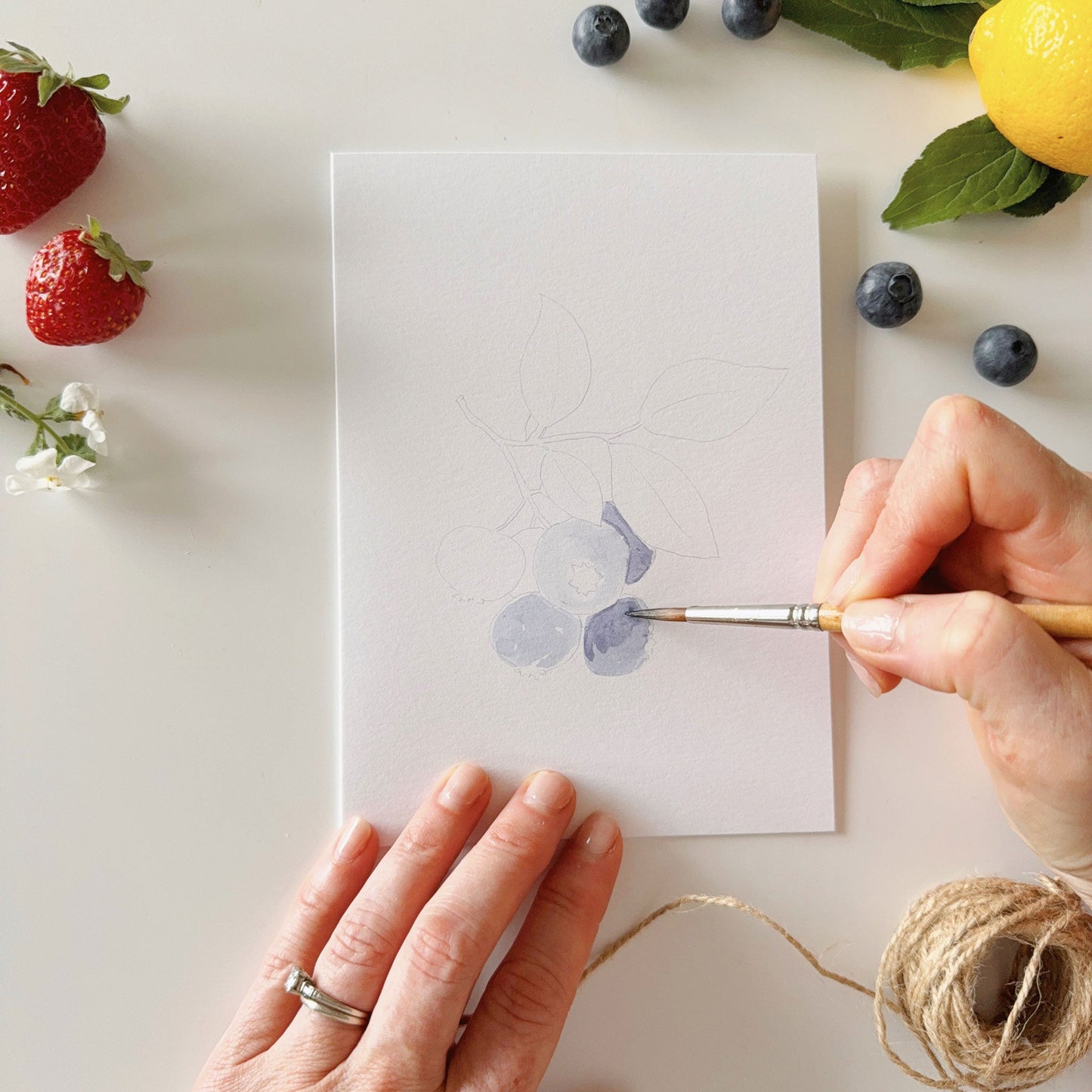 fruit paintable notecards