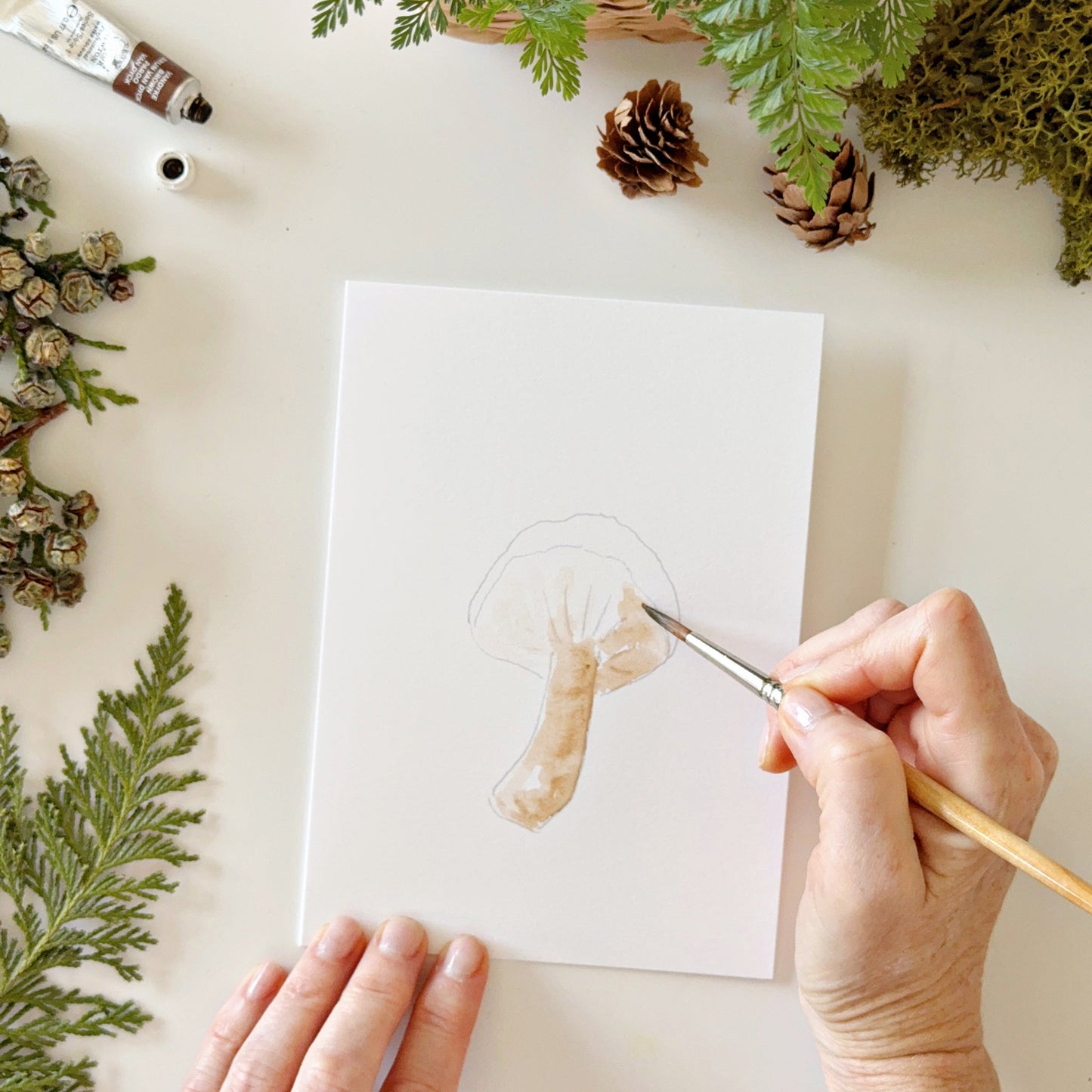 mushrooms paintable notecards