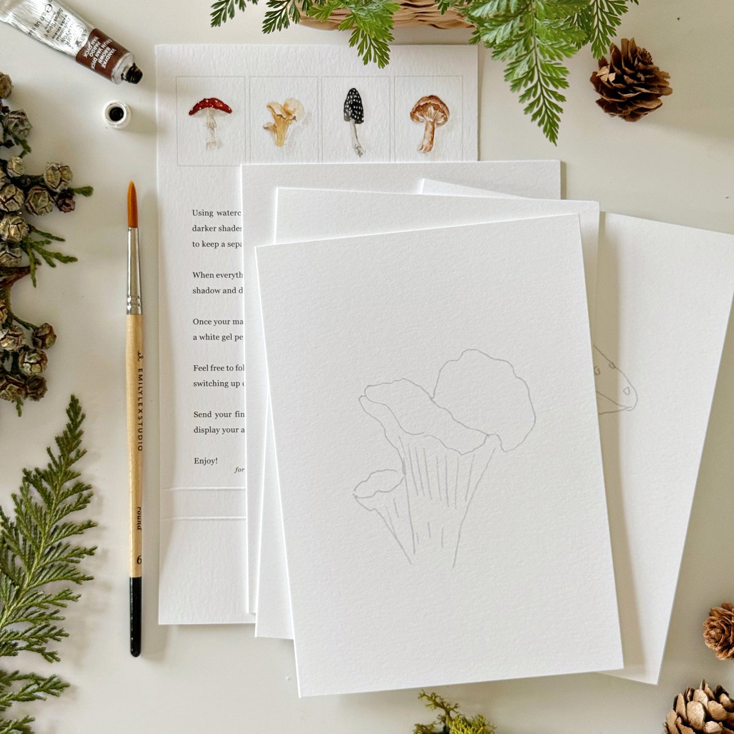 mushrooms paintable notecards