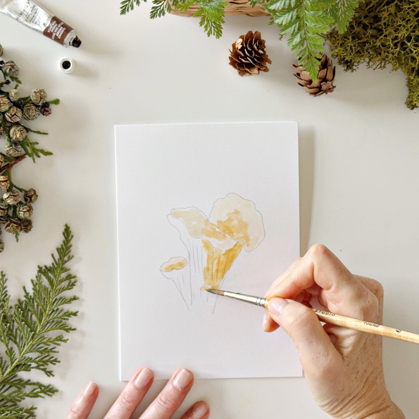 mushrooms paintable notecards