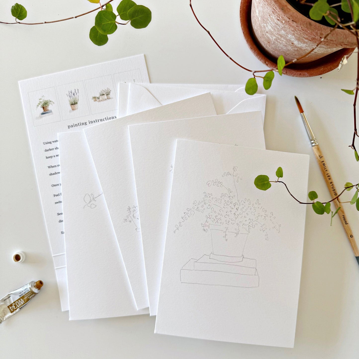 potted plants paintable notecards