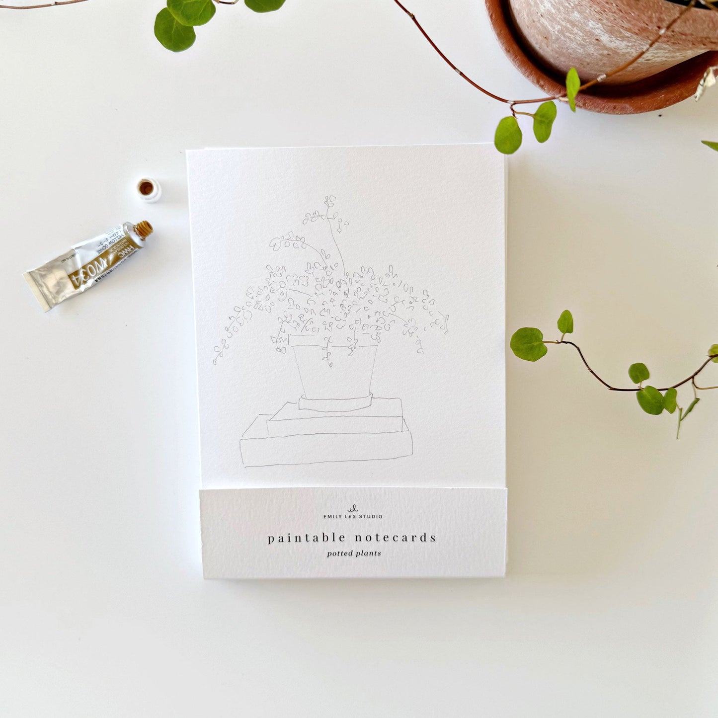 potted plants paintable notecards