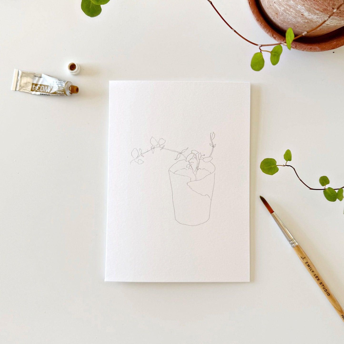 potted plants paintable notecards