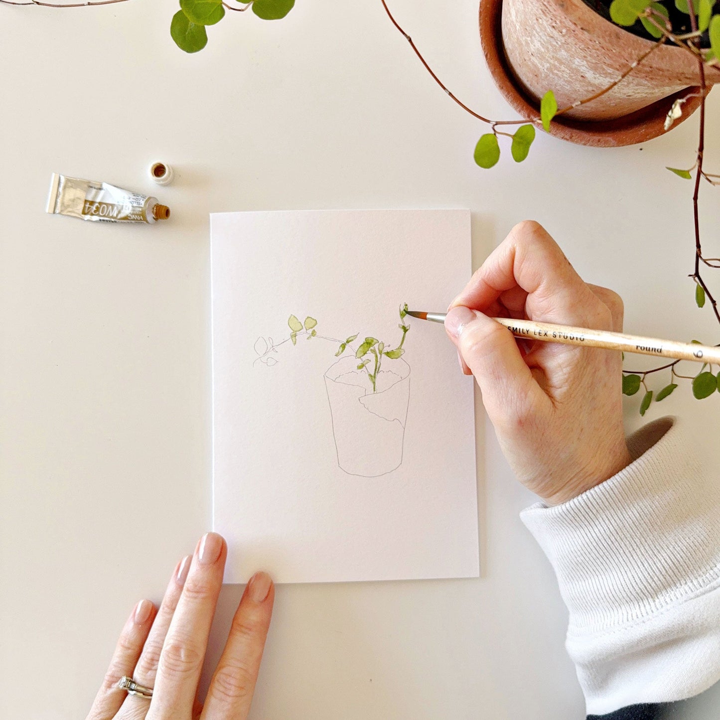 potted plants paintable notecards