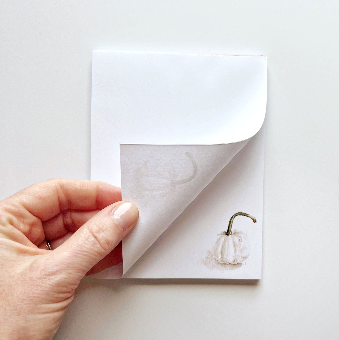 white pumpkin notepad