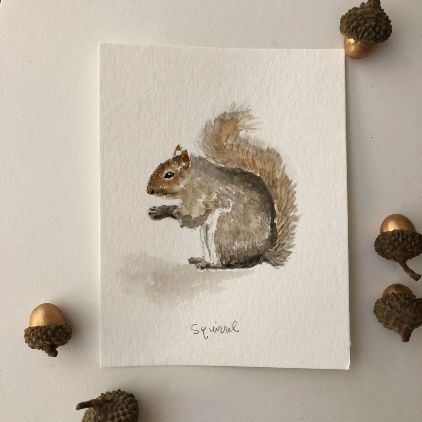 squirrel art print - emily lex studio