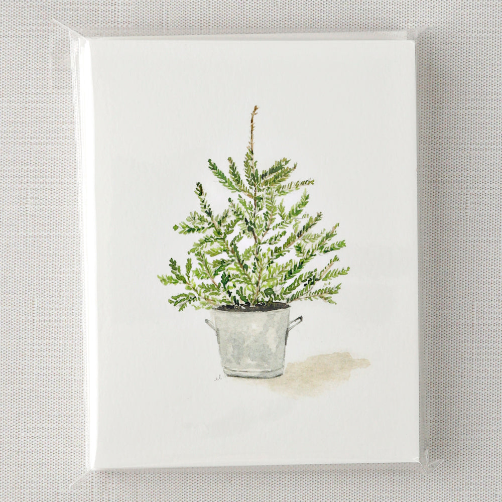 evergreen notecard set