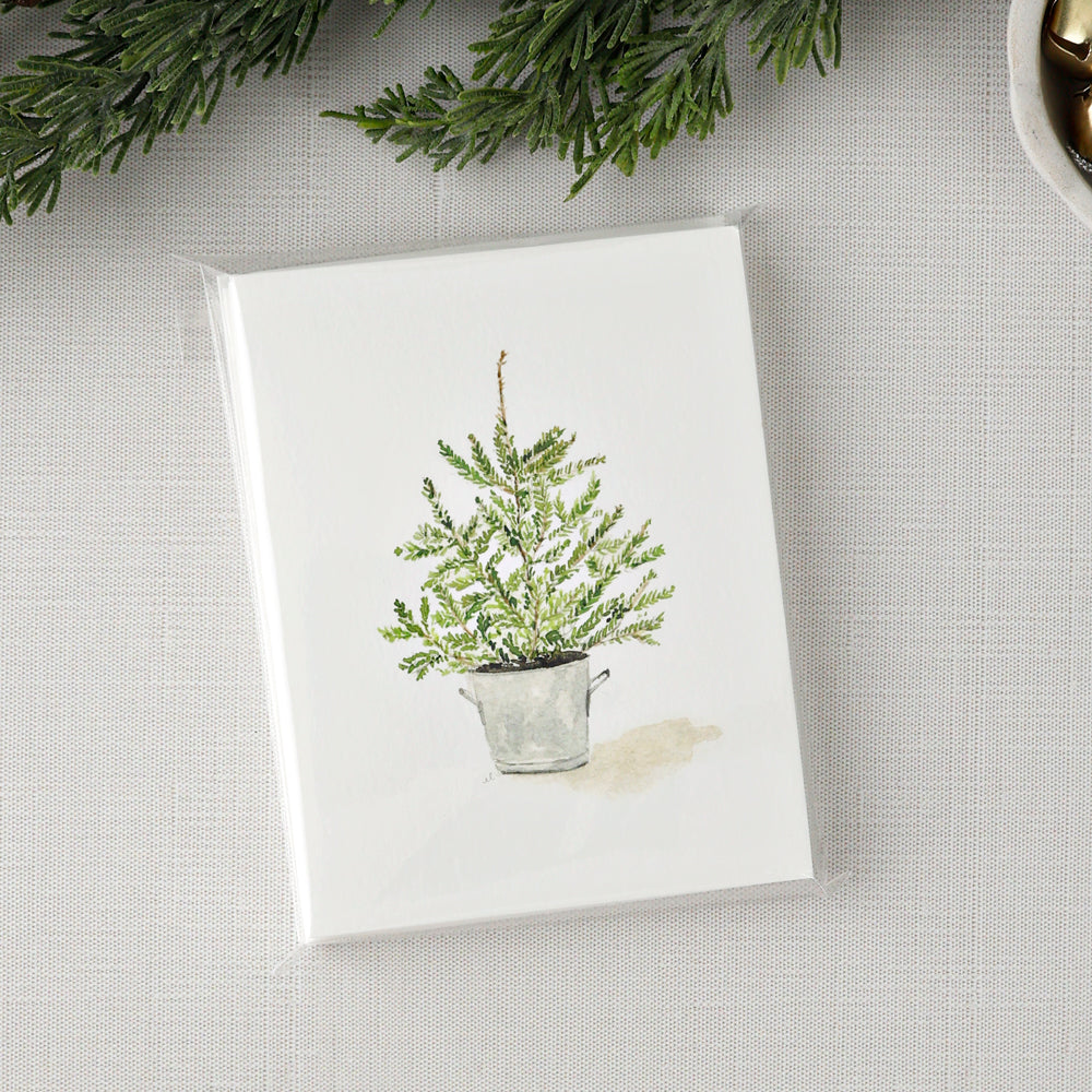 evergreen notecard set