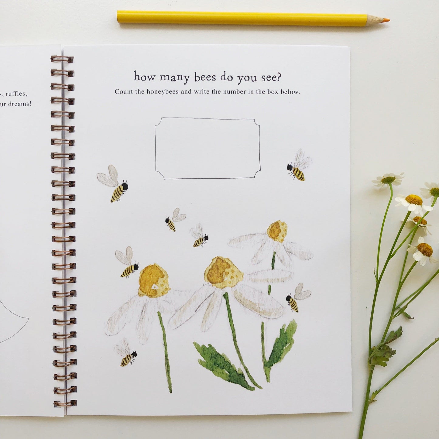 twirl activity workbook - emily lex studio