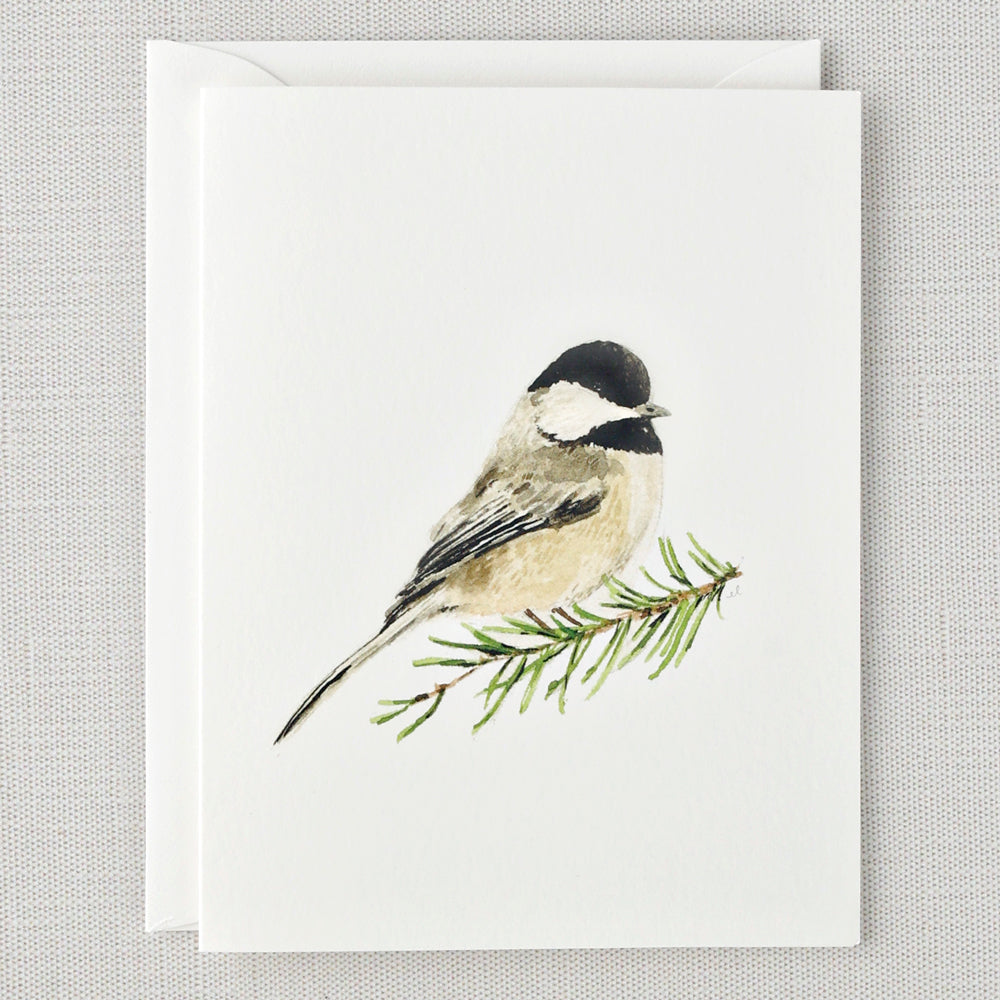 evergreen notecard set