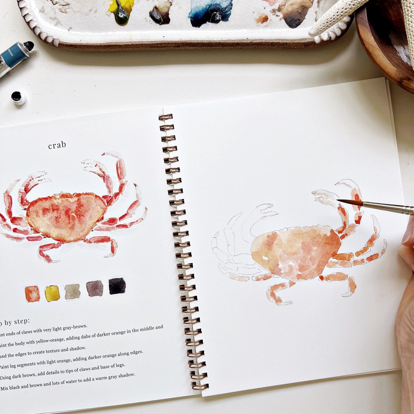 watercolor workbook seaside - emily lex studio