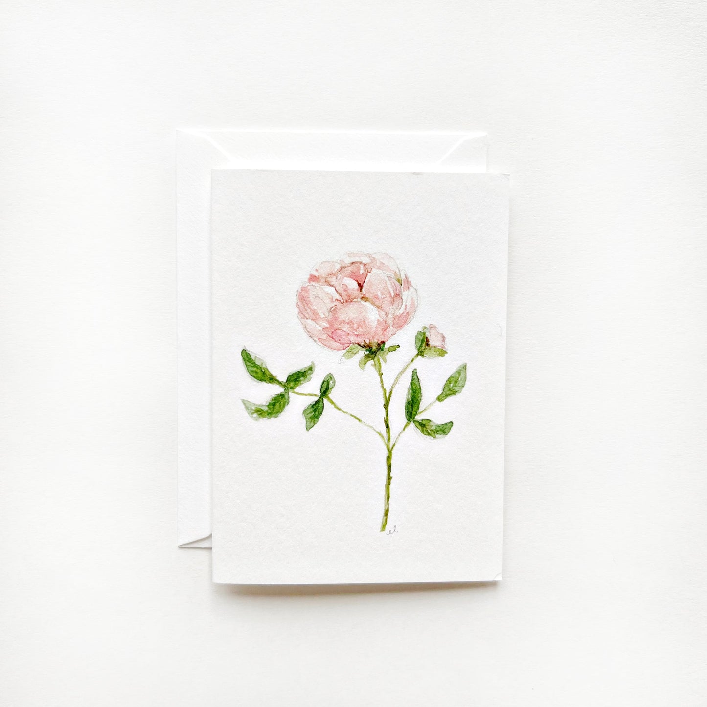 garden rose mini notecard