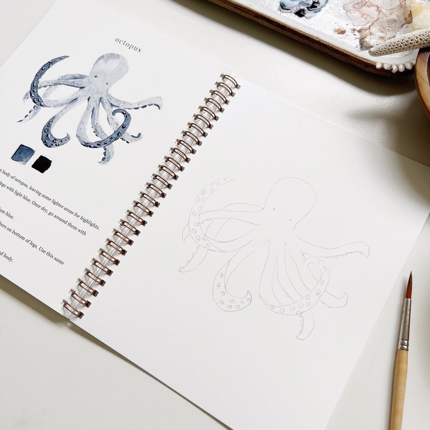watercolor workbook seaside - emily lex studio