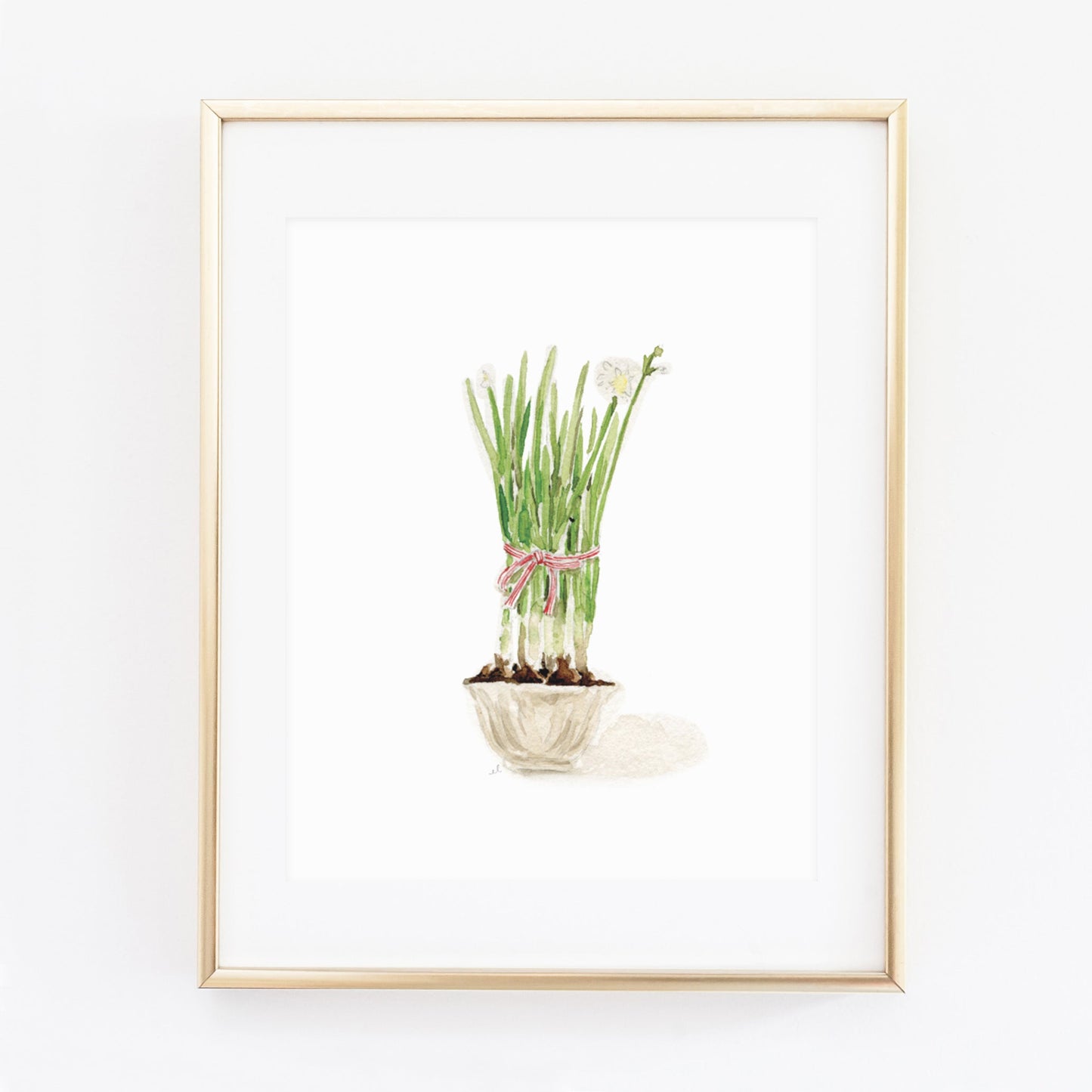paperwhites art print