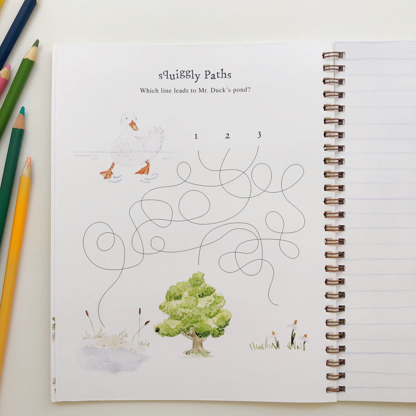 twirl activity workbook - emily lex studio