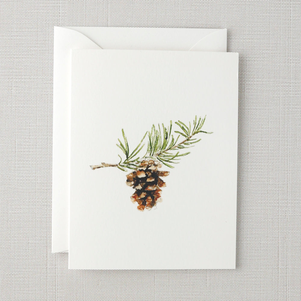 evergreen notecard set