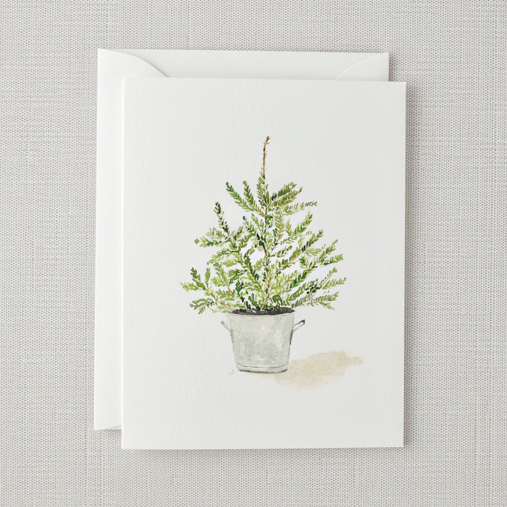 evergreen notecard set