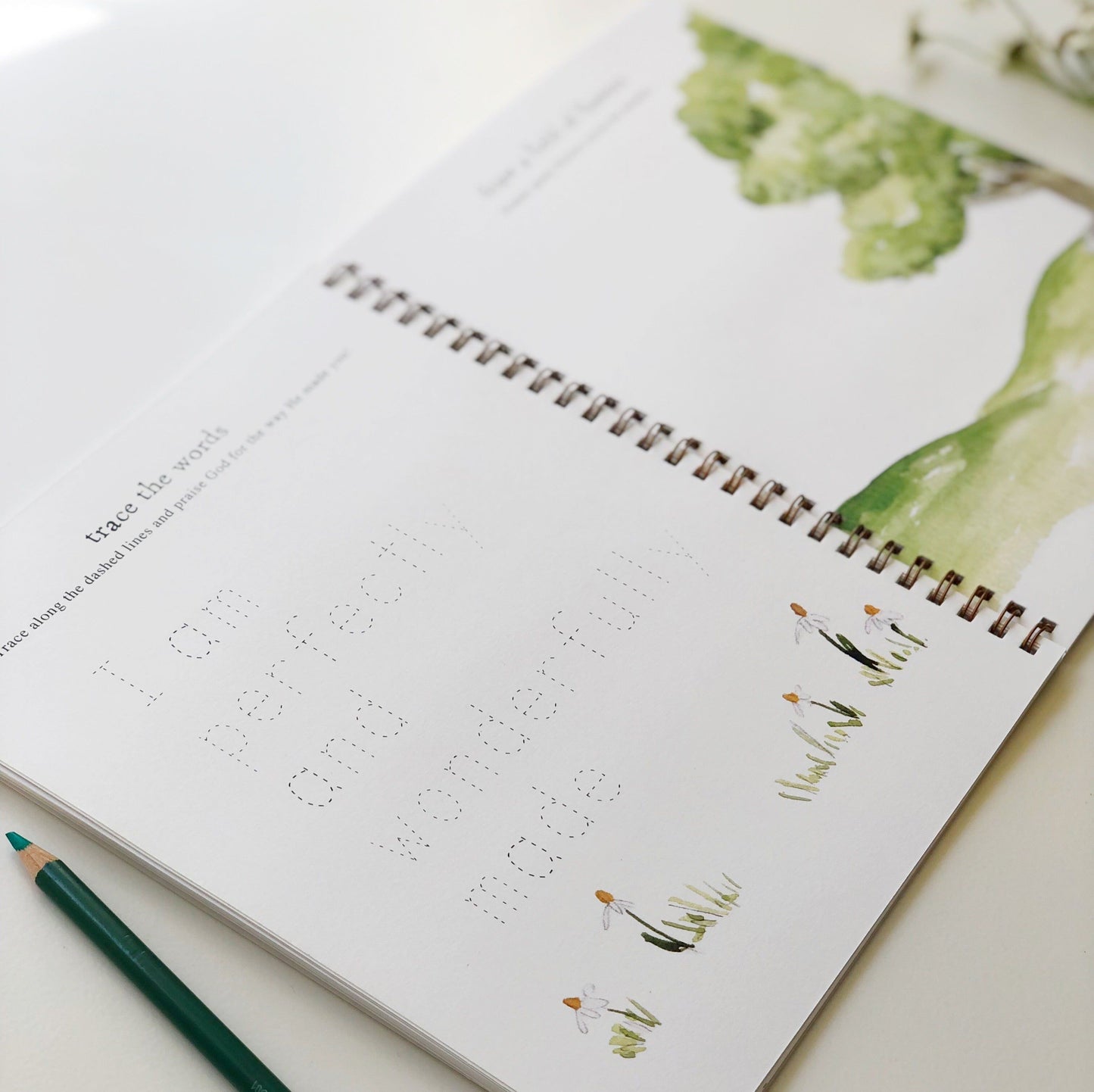 twirl activity workbook - emily lex studio