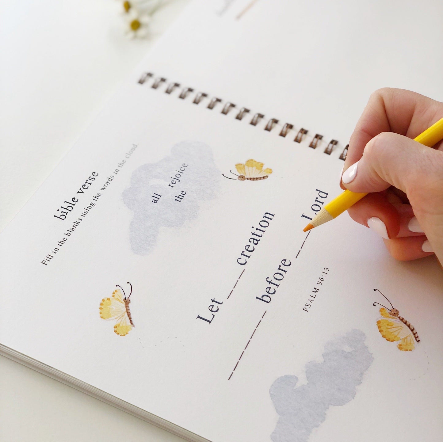 twirl activity workbook - emily lex studio