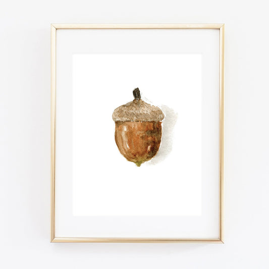 acorn art print - emily lex studio