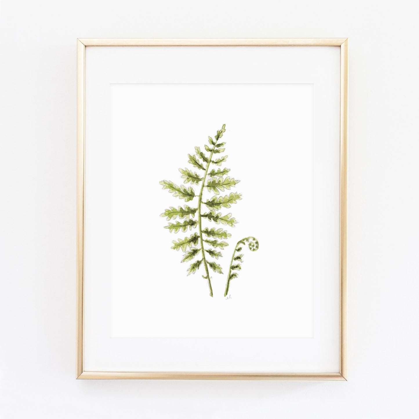 fern art print