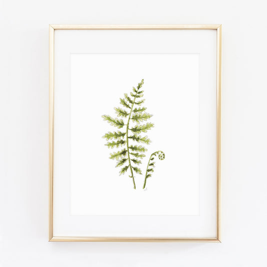 fern art print