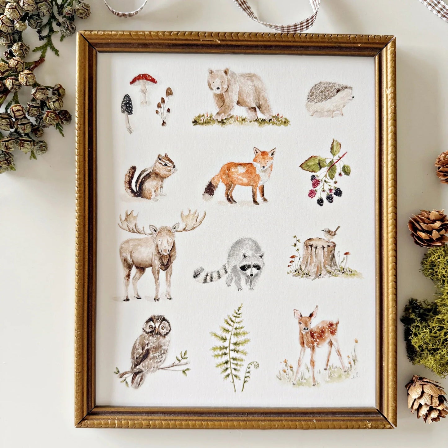 woodland watercolor forest animal wall art print