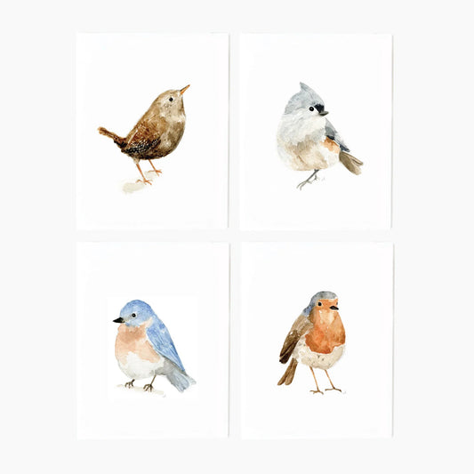 birds assorted notecard set