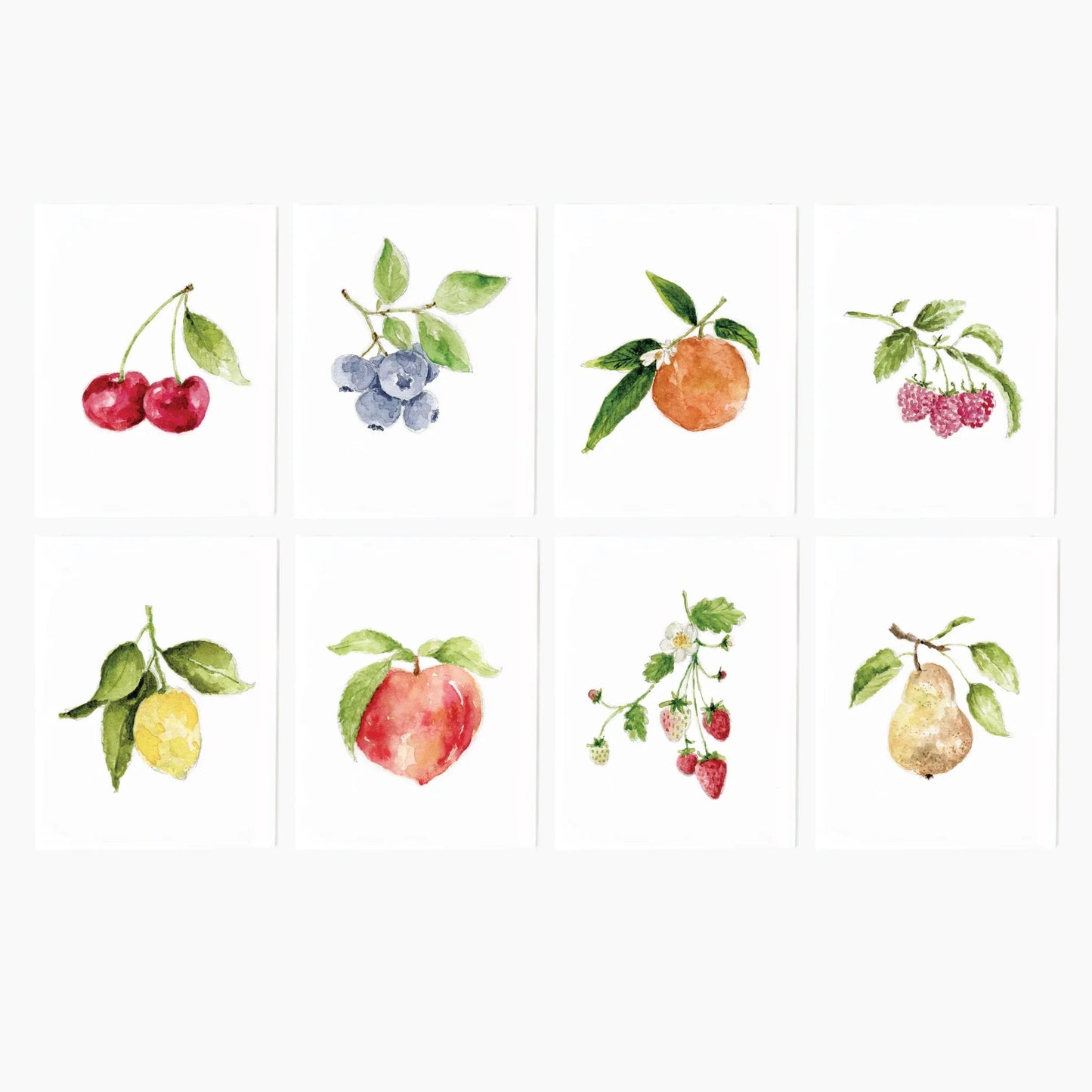 fruit assorted notecard set