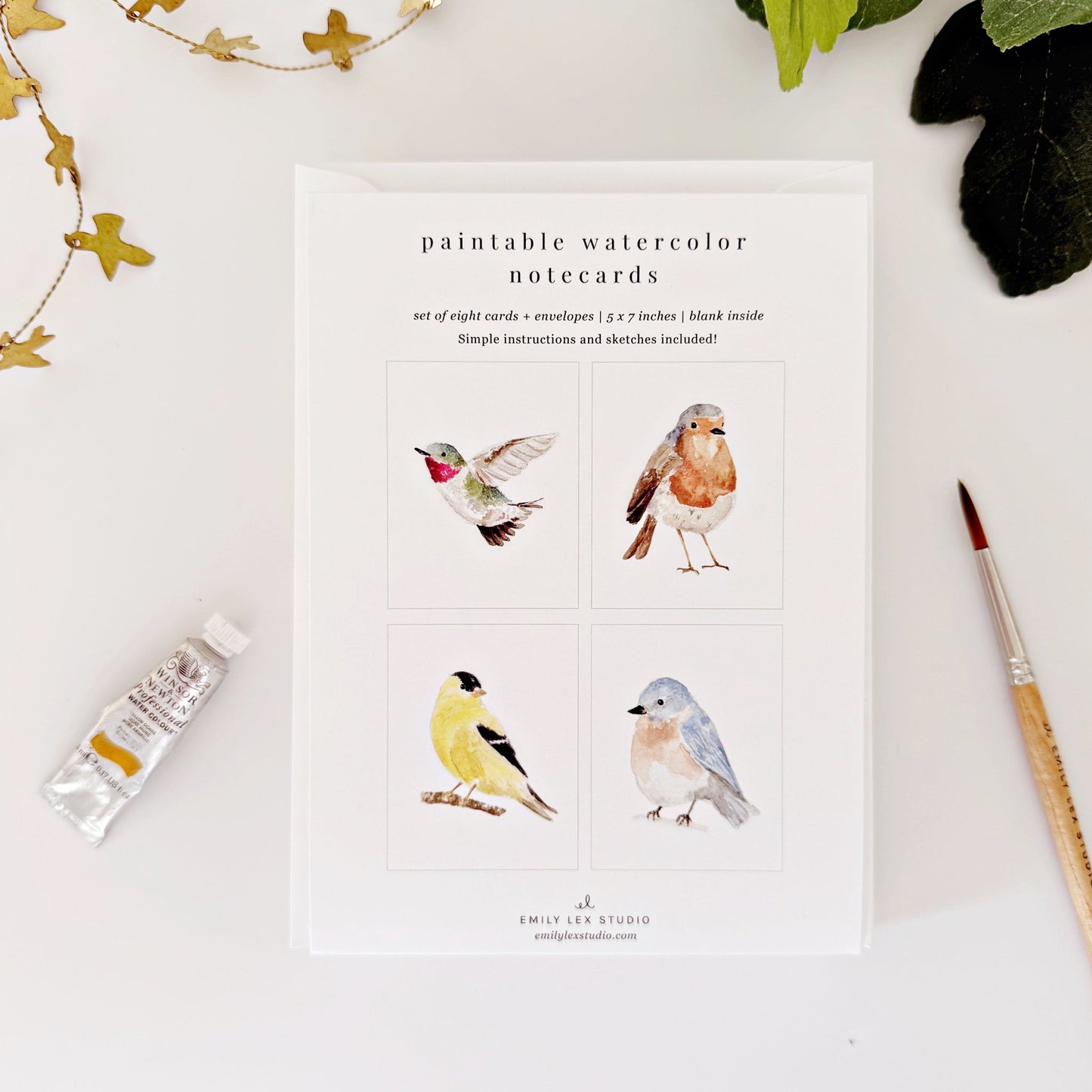 backyard birds paintable notecards