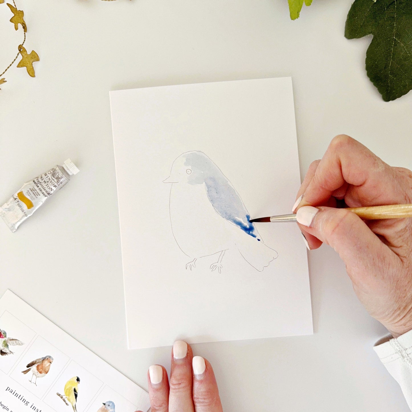 backyard birds paintable notecards
