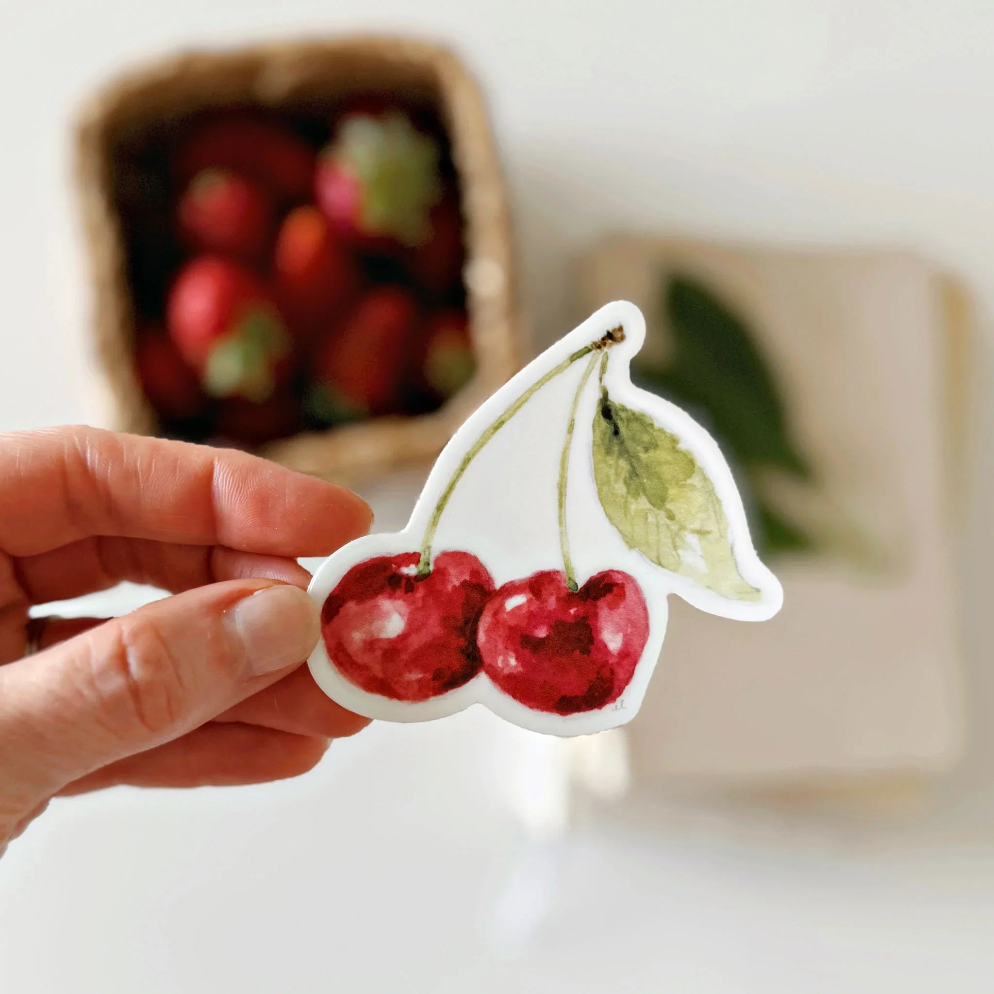 cherry sticker – Emily Lex Studio Wholesale