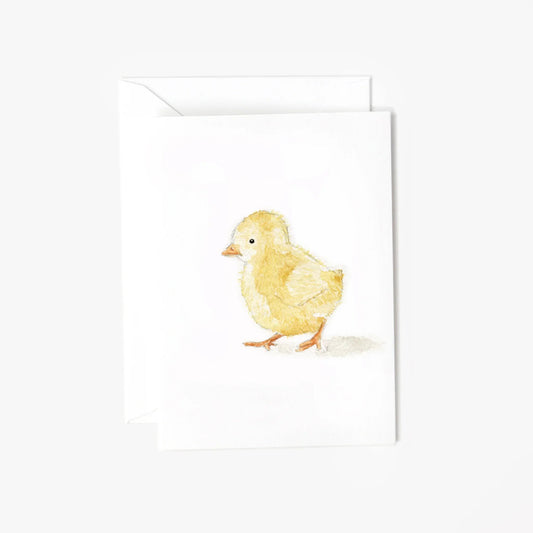 baby chick mini enclosure notecard
