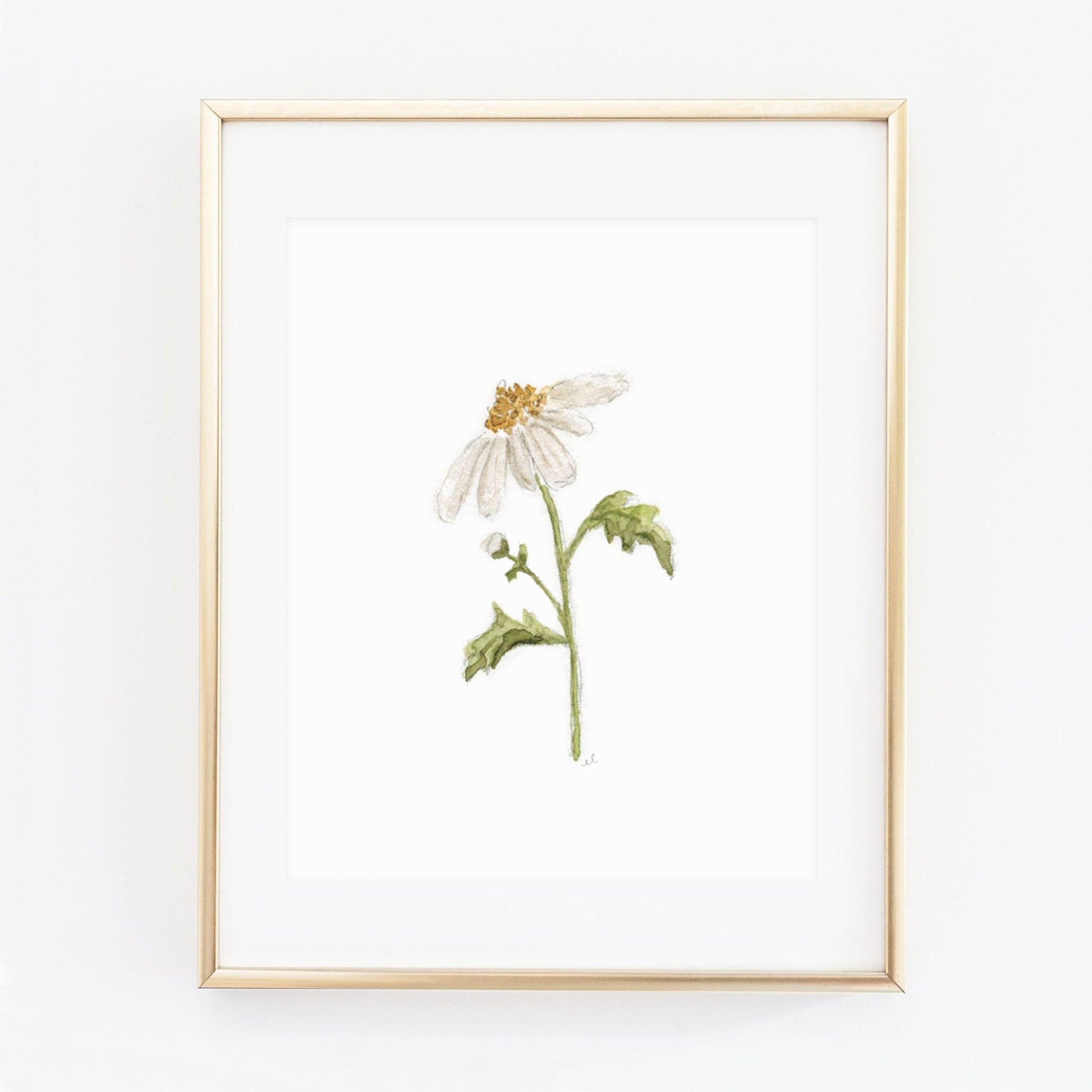 daisy art print - emily lex studio