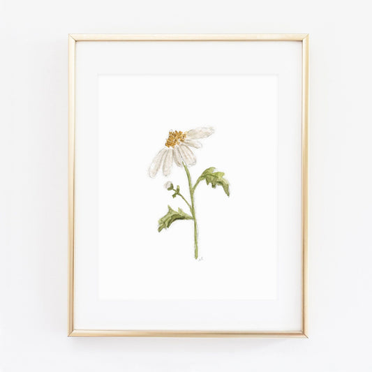 daisy art print - emily lex studio