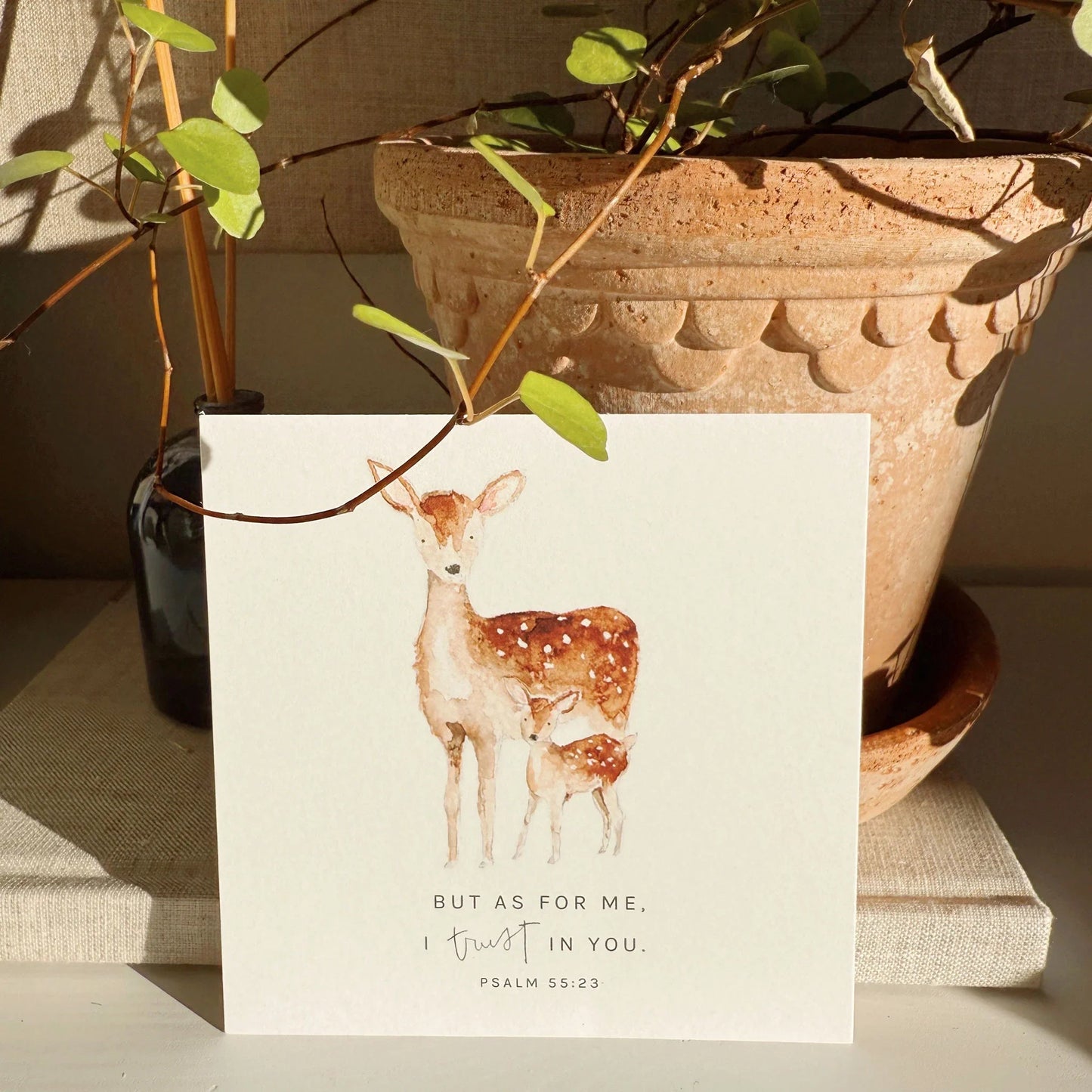 truth for today psalms cards