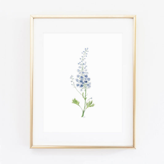 delphinium art print - emily lex studio