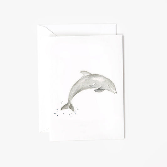 dolphin mini notecard
