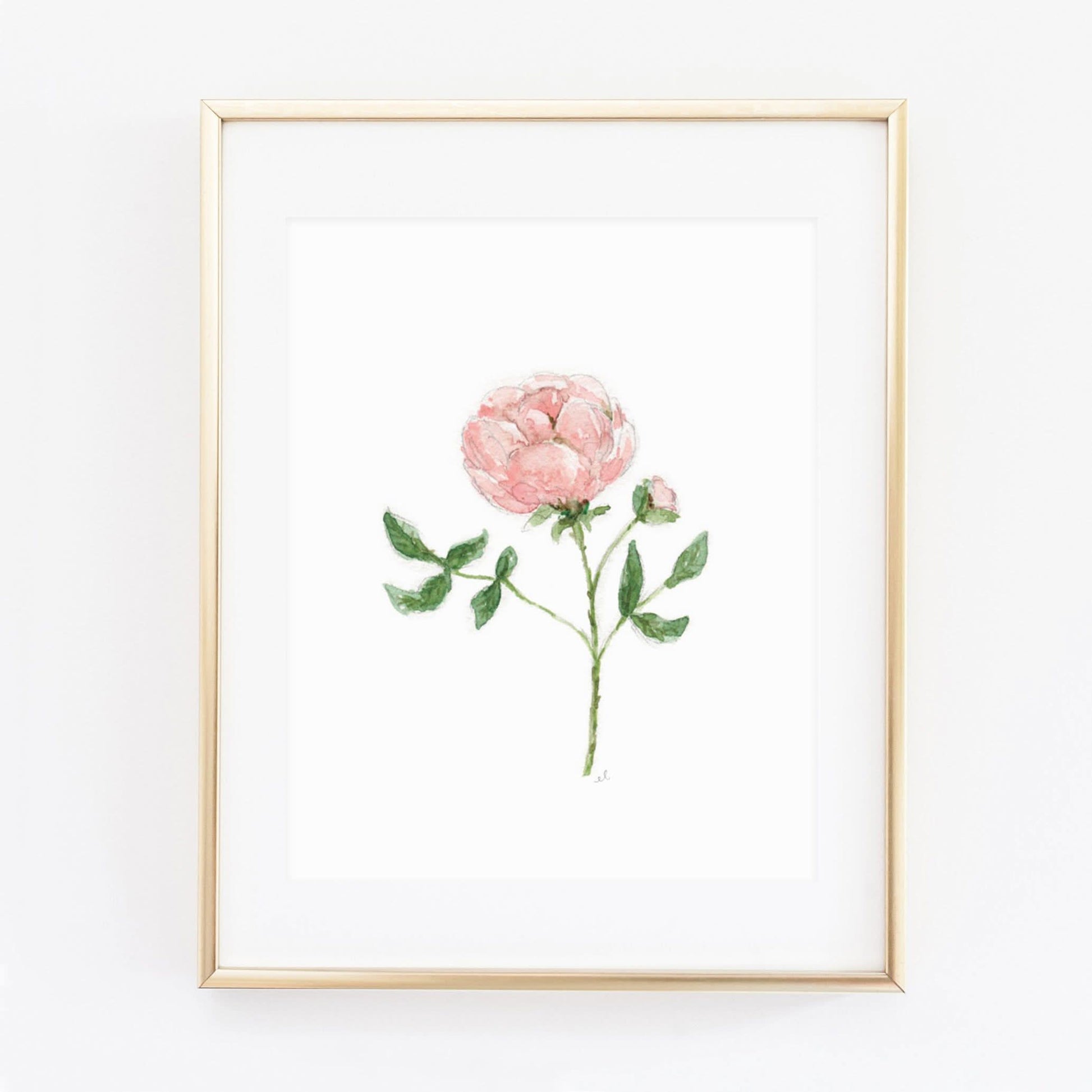 garden rose art print - emily lex studio