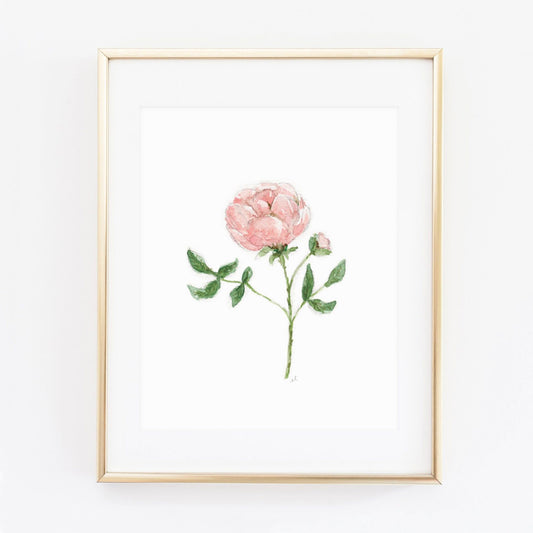 garden rose art print - emily lex studio