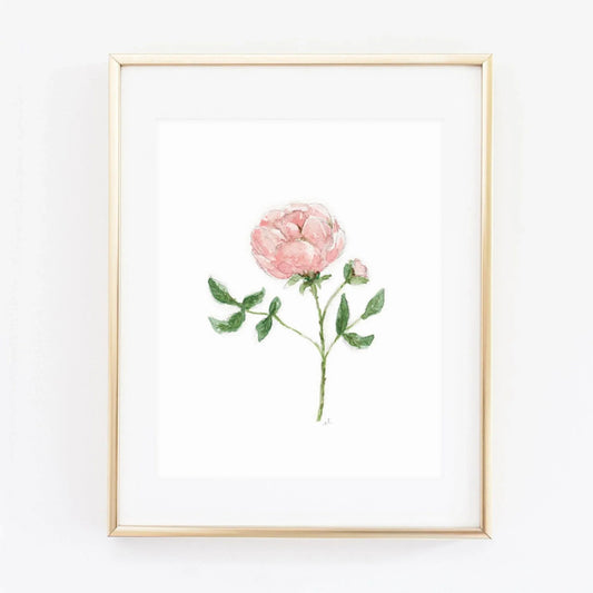 garden rose art print - emily lex studio