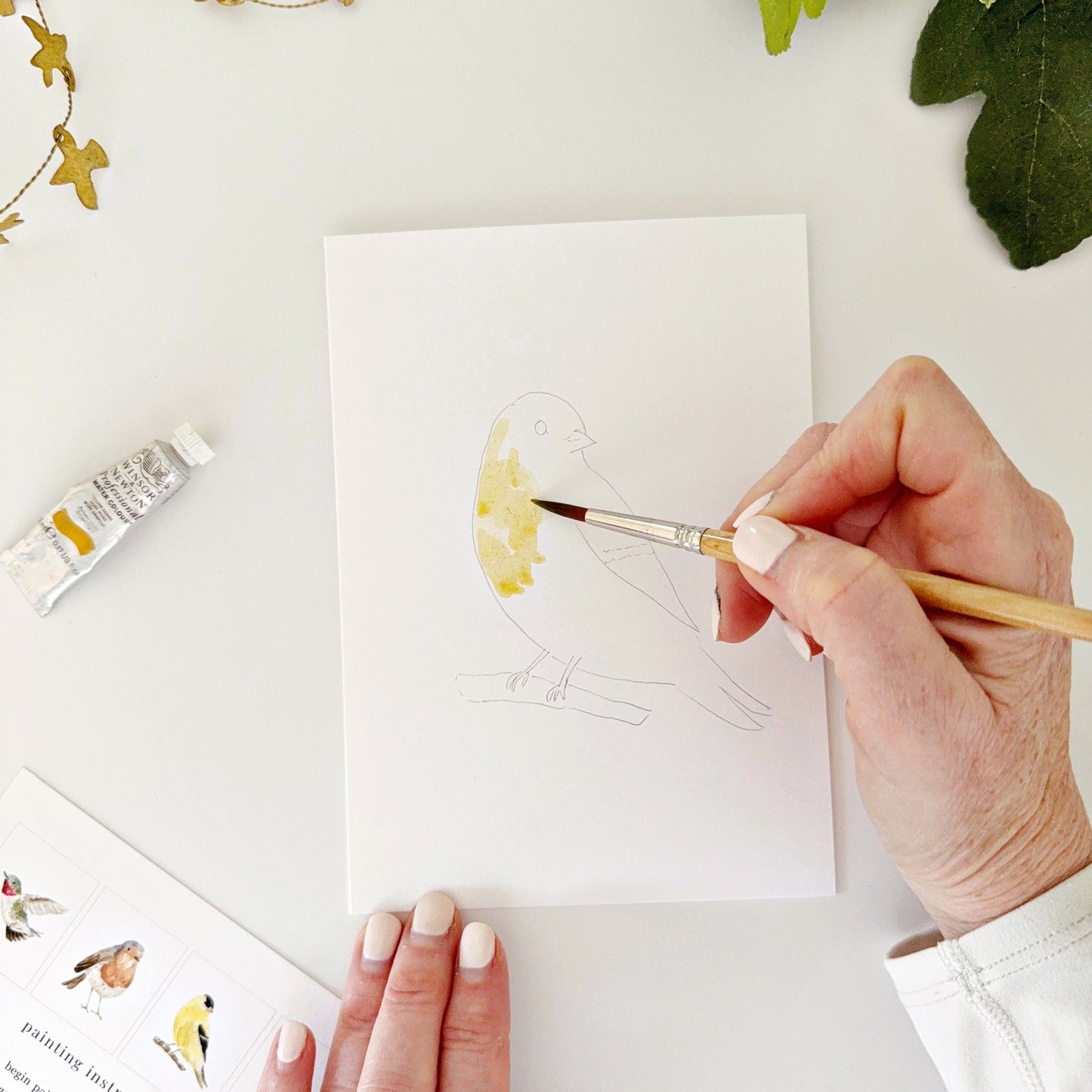 backyard birds paintable notecards