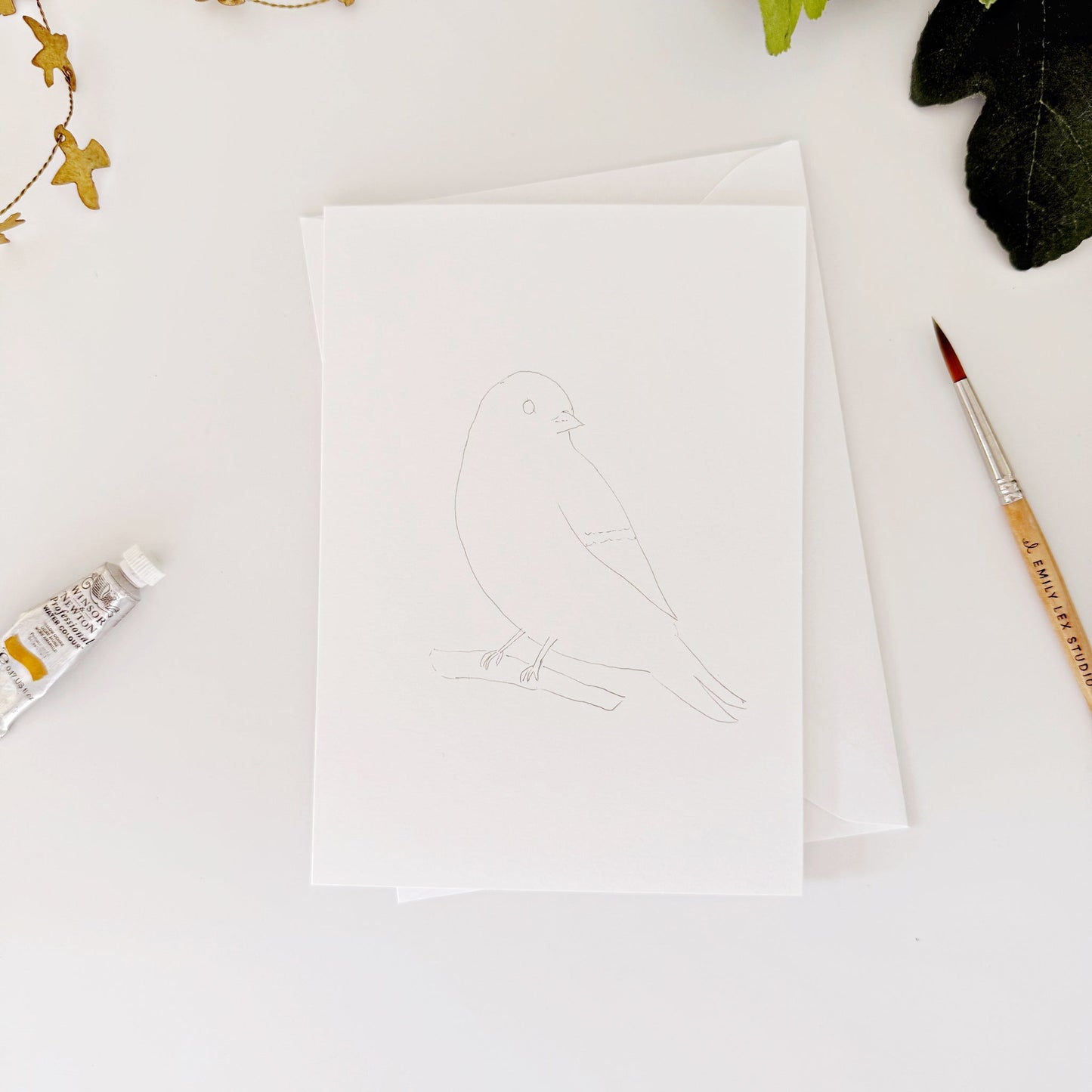 backyard birds paintable notecards